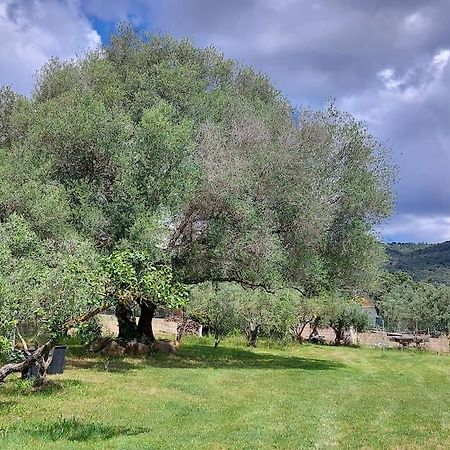 Sole RuiuOlbia Grazioso Bilo In Periferia别墅 外观 照片