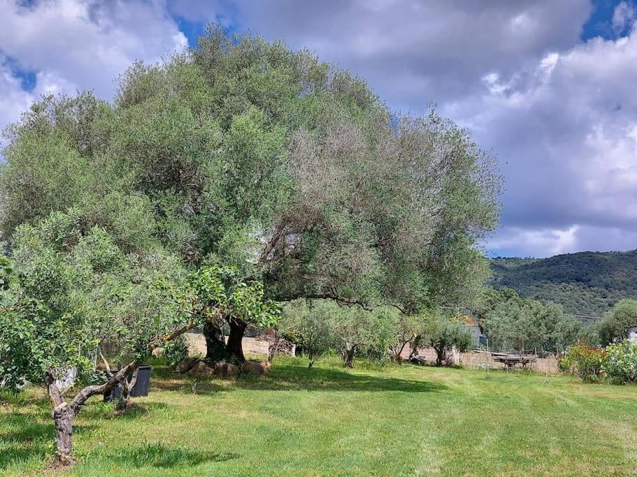 Sole RuiuOlbia Grazioso Bilo In Periferia别墅 外观 照片